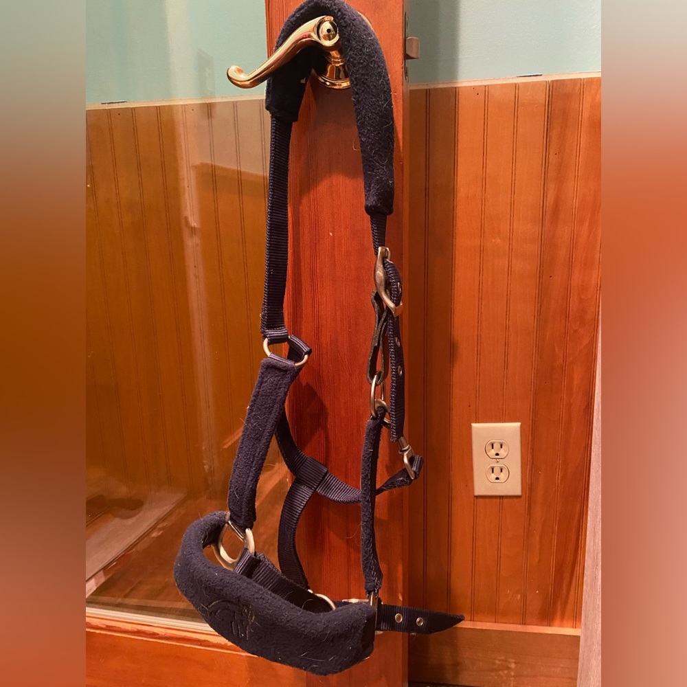 Blue centaur fleece horse halter
